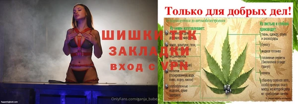 МДПВ Бронницы